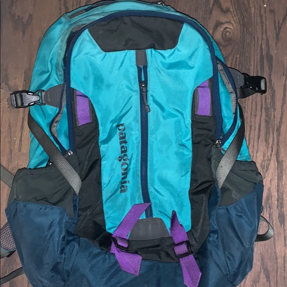 Patagonia Backpack